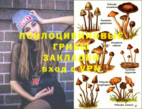 дурь Волоколамск