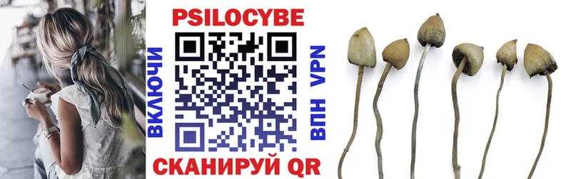 Псилоцибиновые грибы мухоморы  Злынка 